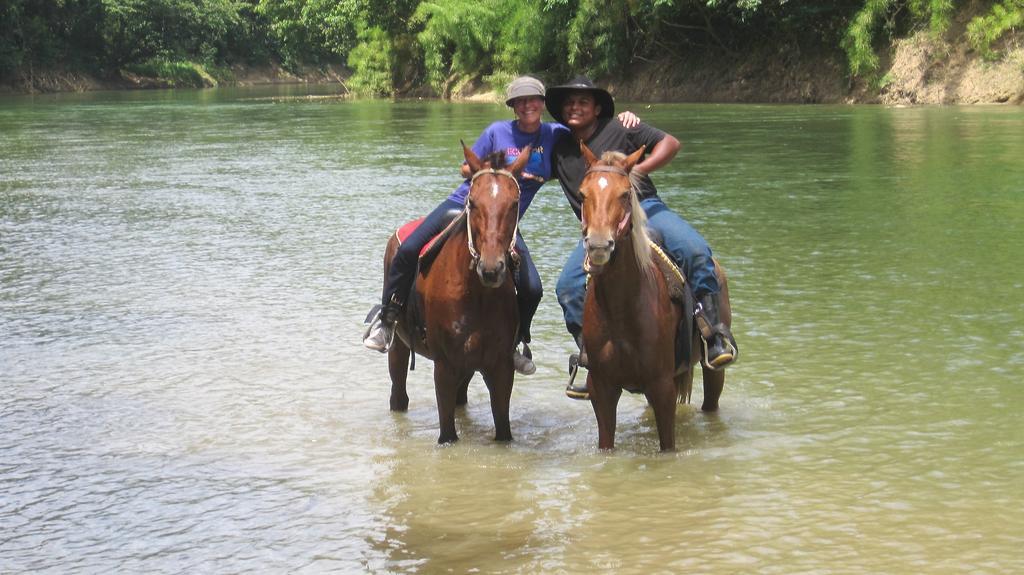 Banana Bank Lodge & Jungle Horseback Adventures Бельмопан Екстер'єр фото