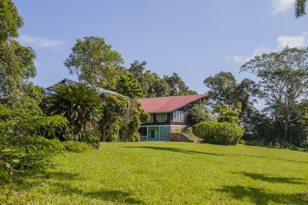 Banana Bank Lodge & Jungle Horseback Adventures Бельмопан Екстер'єр фото