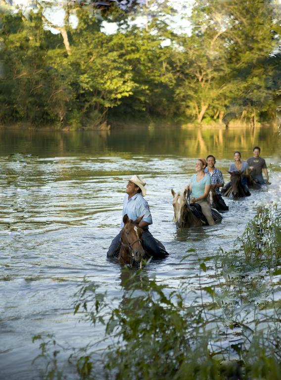 Banana Bank Lodge & Jungle Horseback Adventures Бельмопан Екстер'єр фото
