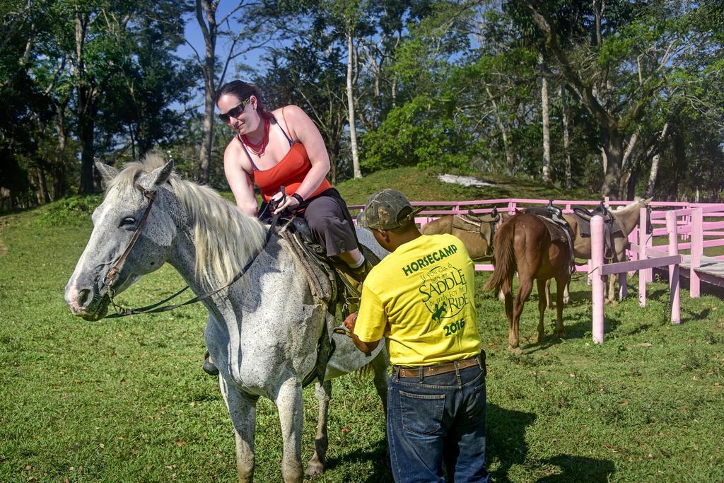 Banana Bank Lodge & Jungle Horseback Adventures Бельмопан Екстер'єр фото