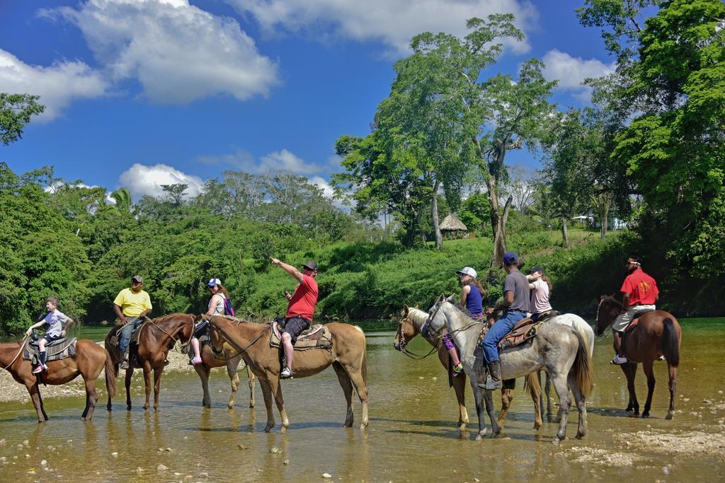 Banana Bank Lodge & Jungle Horseback Adventures Бельмопан Екстер'єр фото