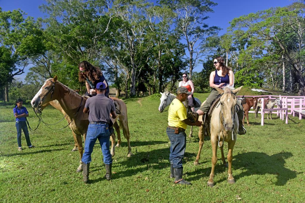 Banana Bank Lodge & Jungle Horseback Adventures Бельмопан Екстер'єр фото