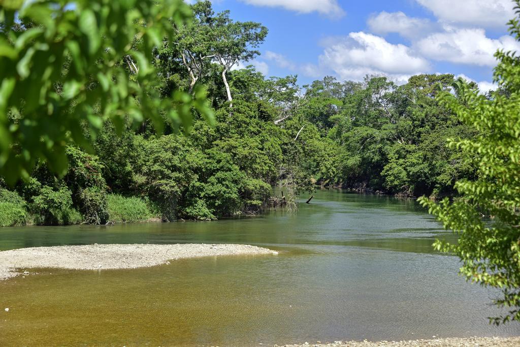 Banana Bank Lodge & Jungle Horseback Adventures Бельмопан Екстер'єр фото